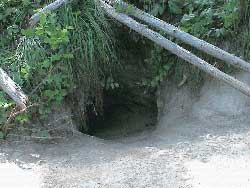 Entrance to the den site of the Fishtrap pack of northwest Montana