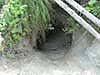 Den site of the Fishtrap pack