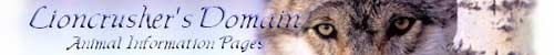 Lioncrusher's domain logo