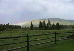 Territory of the Fishtrap pack in northwest Montana