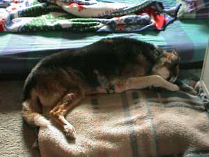 Timber sleeping